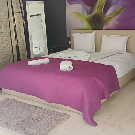 Appartement кичук париж